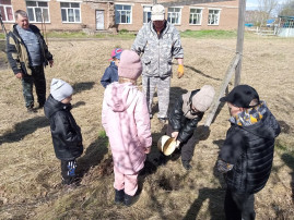 Международная акция «Сад памяти». Международная акция «Сад памяти».